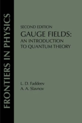 Gauge Fields