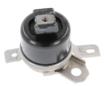 CORTECO CO49389726 Engine mount