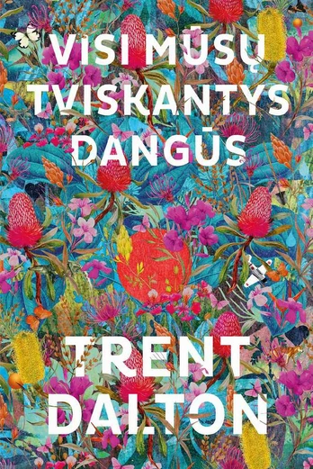 Visi mūsų tviskantys dangūs