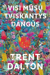 Visi mūsų tviskantys dangūs kaina