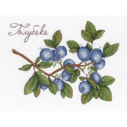 Blueberries SNV-617 siuvinėjimo rinkinys iš MP Studija