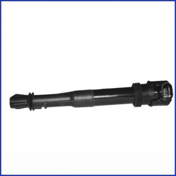 Ritė, uždegimas HITACHI 133827
