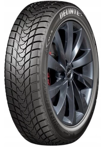 Delinte WD1 195/55R15 85 H
