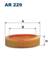 Oro filtras FILTRON AR 229 kaina
