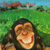 CD The Supernaturals - It Doesn't Matter Anymore