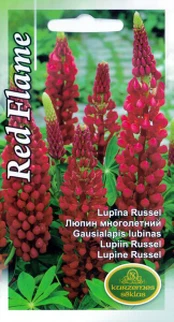 Gausialapis lubinas Red Flame