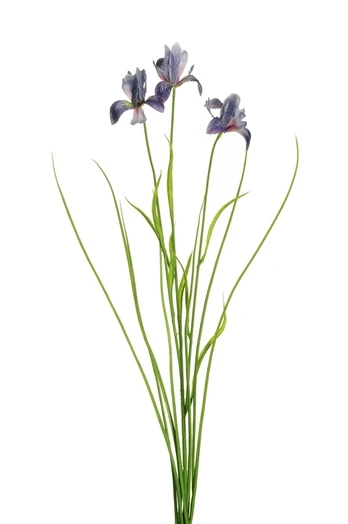 Dirbtinė gėlė Irisas, mėlyna sp., 72 cm