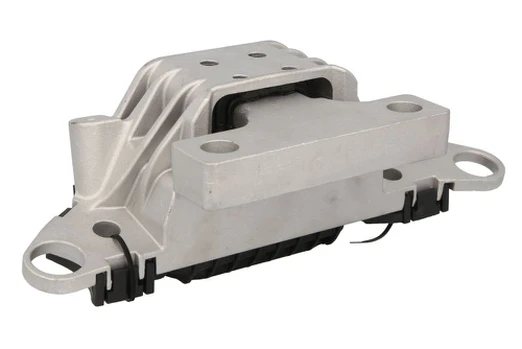 Variklio montavimas TEDGUM TED24415