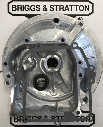 Briggs & Stratton KARTERIS BRIGGS&STRATTON SERIA 450E 500E Originali dalis