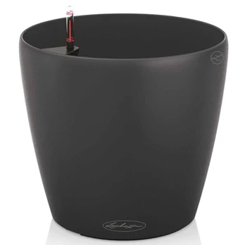 Lechuza CLASSICO Color 35 Tamsiai pilka