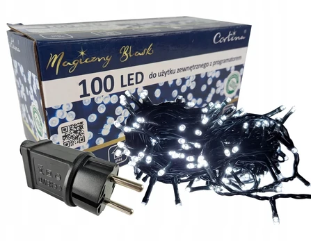 Kalėdinės lemputės 100led šaltai baltos spalvos su programatoriumi Ip44 transformatorius