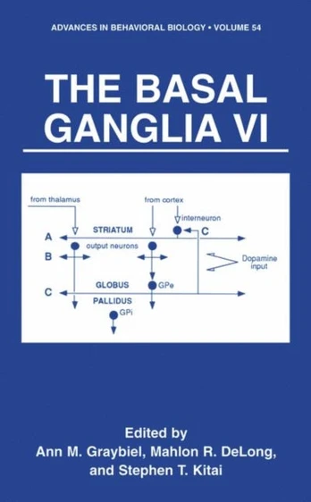Basal Ganglia VI
