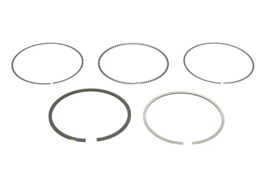 NE 120010006700 Piston ring set