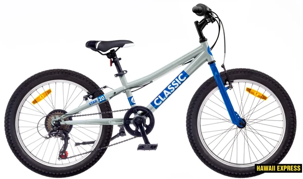 Dviratis 20 Classic STAR 20 BOY sidabrinis