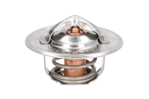termostatas, aušinimo skystis THERMOTEC D2DB001TT