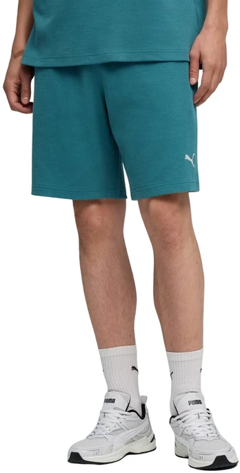 Šortai vyrams Puma ESS Elevated Relaxed žalia 692021 41 (M)