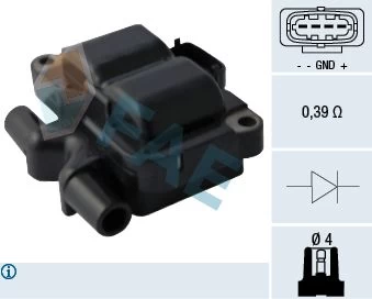 Ritė, uždegimas FAE 80293