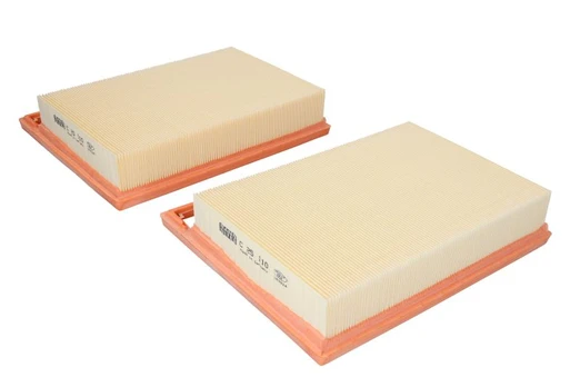 Oro filtras MANN-FILTER C25110-2