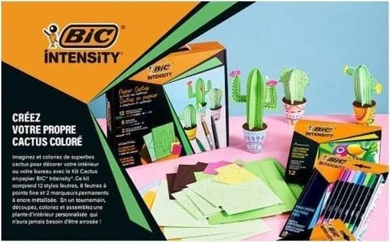 Rinkinys Intensity Paper Cactus BIC