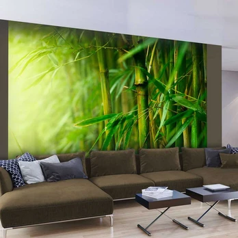 Artgeist Fototapetas - jungle - bamboo