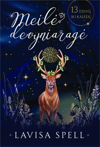 KNYGA Meilė devyniaragė
