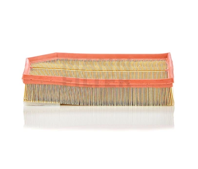 Oro filtras C33194