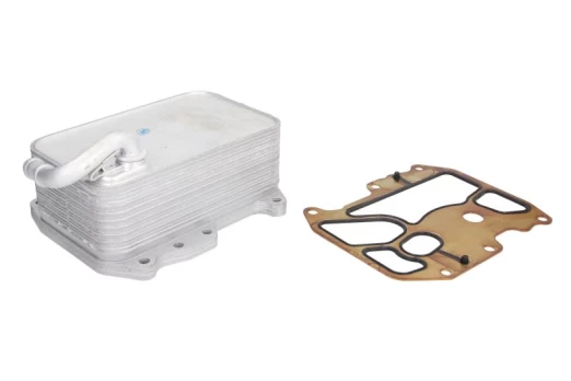 Alyvos radiatorius THERMOTEC D4A025TT