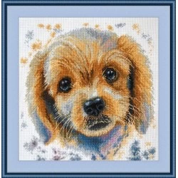 Puppy S893