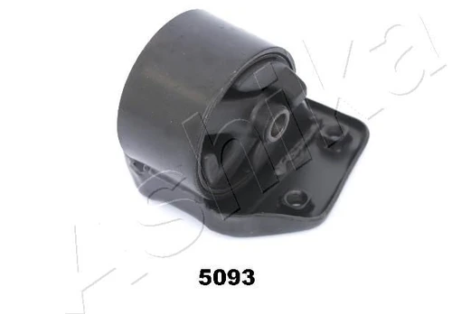 Variklio montavimas ASHIKA GOM-5093