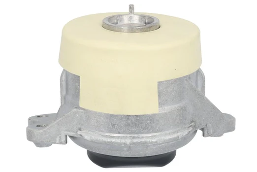 Variklio montavimas TEDGUM TED44364