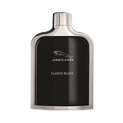 Jaguar Classic Black EDT 100 ml kaina