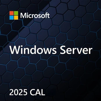MS Windows Svr CAL 2025 PL Clt Device CAL OEM