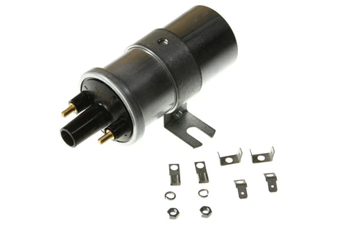 Ritė, uždegimas NGK 48343