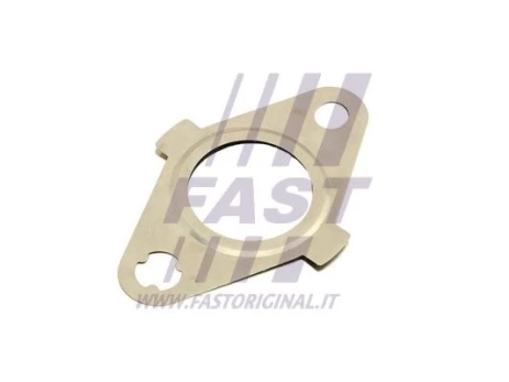 Tarpiklis, EGR vožtuvas FAST FT50627