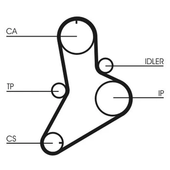 CONTI CT 622 Timing belt