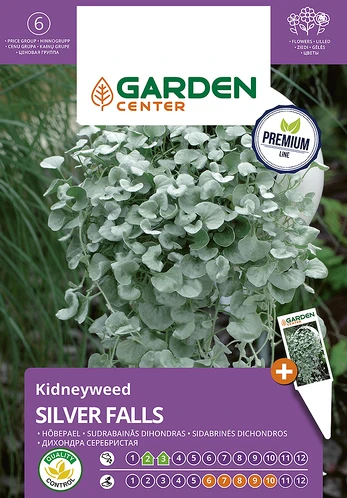 Sėklos Garden Center dichondra SILVER FALLS, 5 vnt.