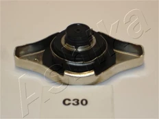 Radiatoriaus dangtelis ASHIKA 33-0C-C30 kaina