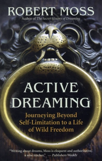 Active Dreaming