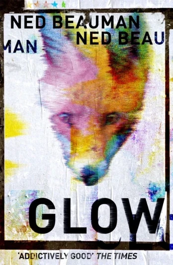 KNYGA Ned Beauman Švytėjimas