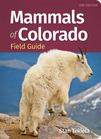 Mammals of Colorado Field Guide