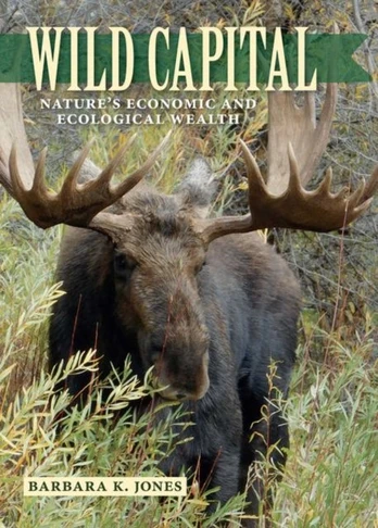 Wild Capital