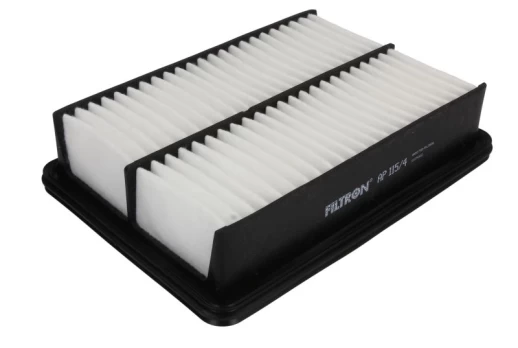 Oro filtras FILTRON AP115/4