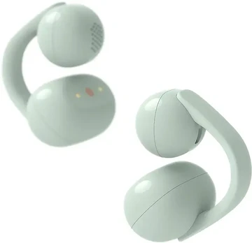 Ausinės SONY WF-LC900G