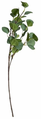 Dirbtinė šakelė, eukaliptas Homla Basic, ruda sp./žalia sp., 65 cm