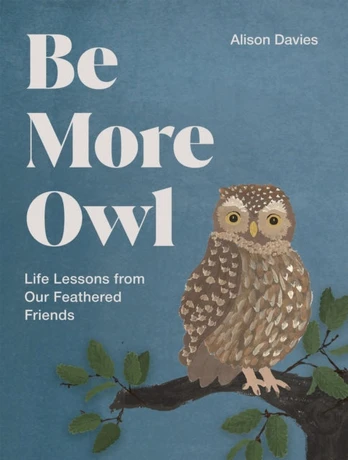 Be More Owl