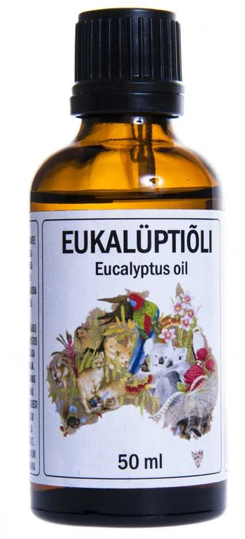 Eukalipto eterinis aliejus, 50 ml