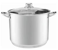 Nerūdijančio plieno 16l puodas 30 cm kaina