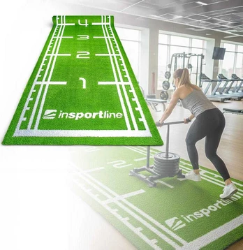 Synthetic Grass Mat inSPORTline Graspet 10.2 x 2 m