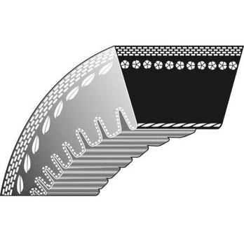 Dantytas diržas IBEA 10x705mm La
