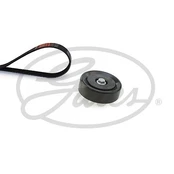 V formos rumbuotas diržas, komplektas GATES K036PK1255 kaina